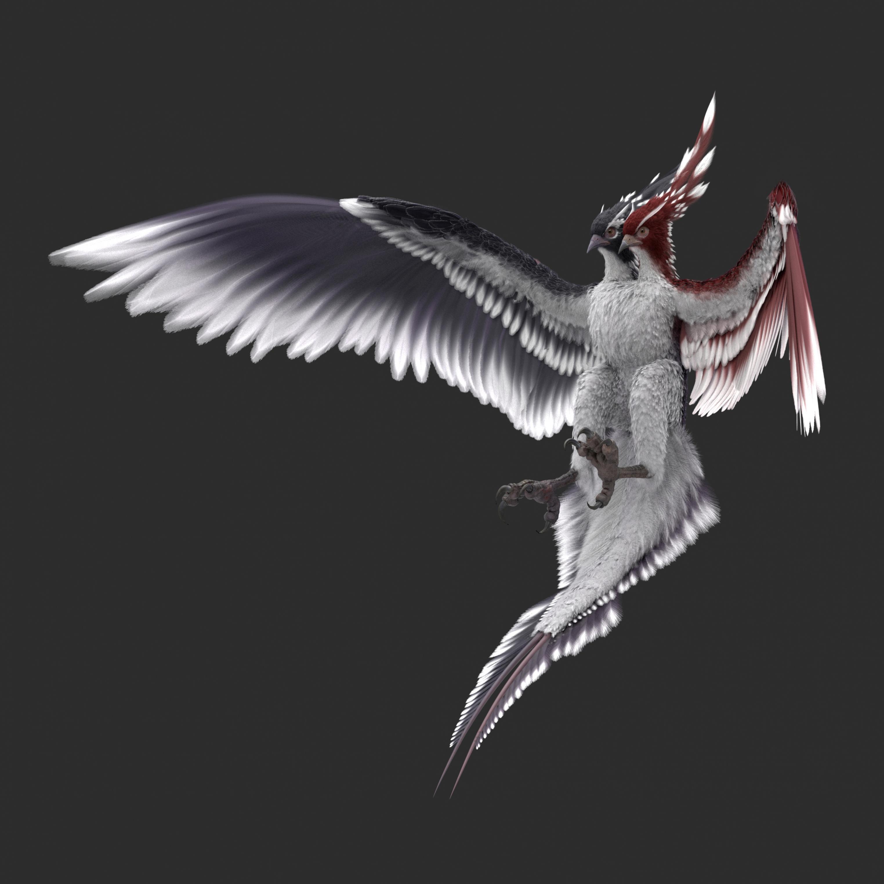 King Bird